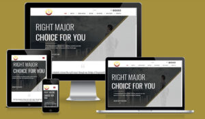 shine portfolio