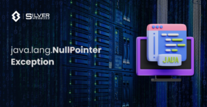 java.lang.NullPointerException - Silver WebBuzz