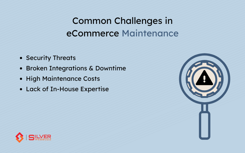 Common Challenges in eCommerce Maintenance